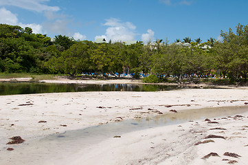 Image showing Tropical lake