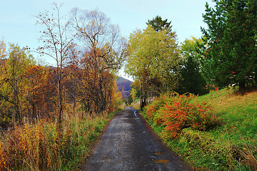 Image showing rural areas