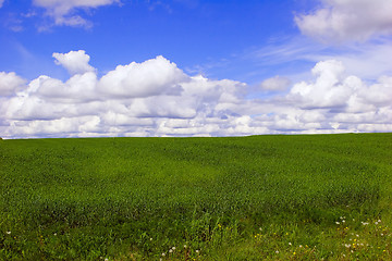 Image showing Summer landscape