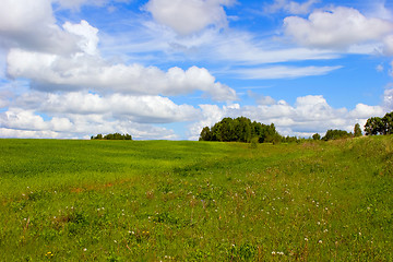 Image showing Summer landscape