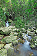 Image showing Close-up of a beautiful relaxing waterfall 