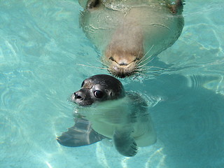 Image showing mama and baby