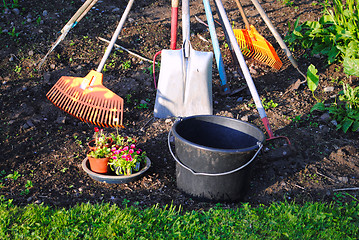 Image showing Gardening