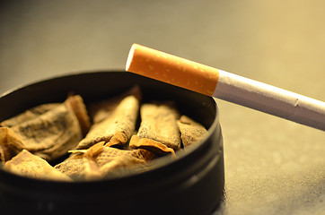 Image showing Tobacco