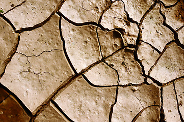 Image showing Cracked earth