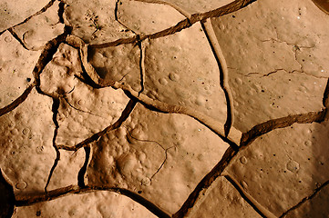 Image showing Cracked earth