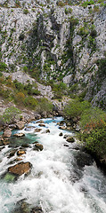 Image showing Ljuta river Montenegro