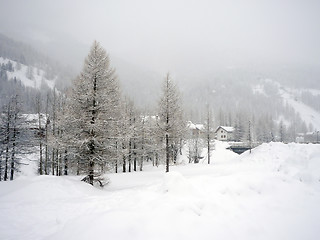 Image showing Winter in Pragelato