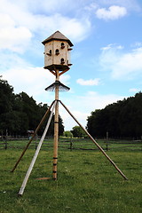 Image showing big dovecot