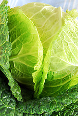 Image showing Savoy cabbage