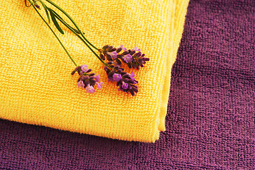 Image showing Colorful towels