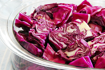 Image showing Red cabbage