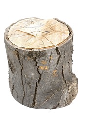 Image showing Log