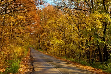 Image showing Autumn Road