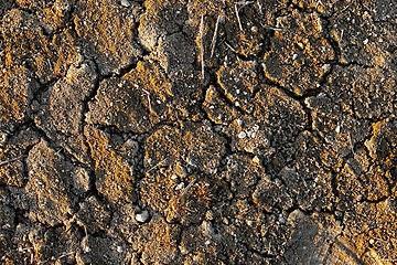 Image showing Soil