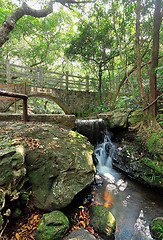 Image showing Bridge in the forest