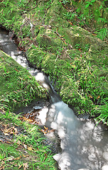 Image showing Mountain River