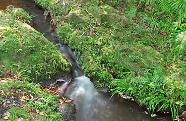 Image showing Mountain River