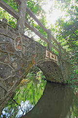 Image showing Bridge in the forest