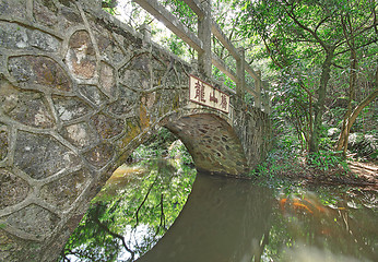 Image showing Bridge in the forest