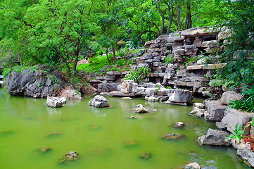 Image showing Green Japanese pond