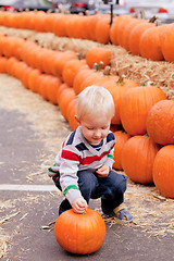 Image showing toddler at the pumpkin patch