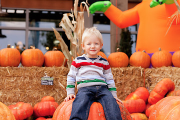 Image showing toddler at the pumpkin patch