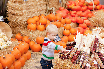 Image showing toddler at the pumpkin patch