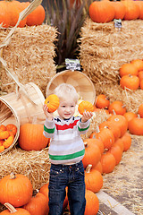 Image showing toddler at the pumpkin patch