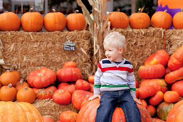 Image showing toddler at the pumpkin patch