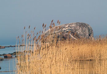 Image showing Ehalkivi (Sunset Glow Boulder)