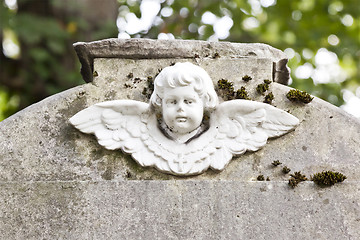 Image showing angel face