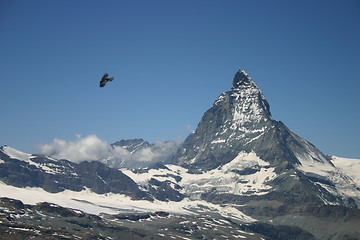 Image showing Matterhorn and a bird