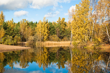 Image showing Autumn landscape at wood lake