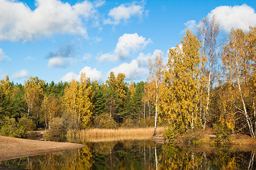 Image showing Autumn landscape at wood lake
