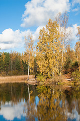 Image showing Autumn landscape at wood lake