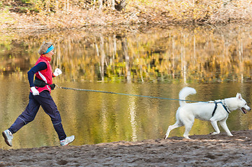 Image showing The sports woman with a dog run along coast of the rivers