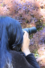 Image showing Photographer