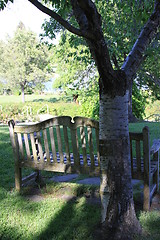 Image showing Bench