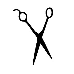 Image showing Scissors