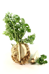 Image showing Celery