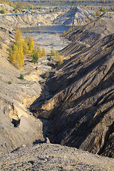 Image showing sand canyon with yellow autumn birches 