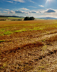 Image showing Harvested Field