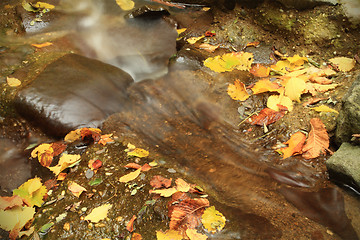 Image showing Water on the rocks into the forest