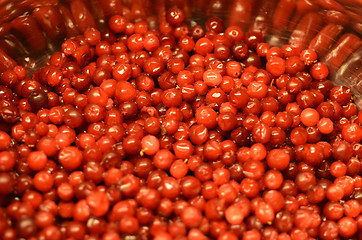 Image showing Lingonberries