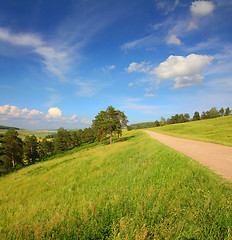 Image showing summer landscape with road