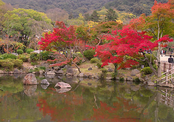Image showing Japanese fall pond