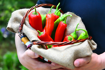 Image showing Man holding a basket full of red and green peperoni