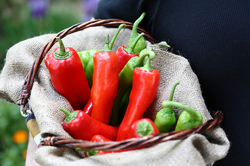 Image showing Man holding a basket with red and green peperoni