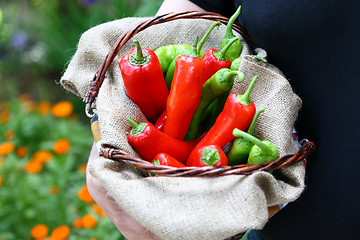 Image showing Man holding a basket with red and green peperoni